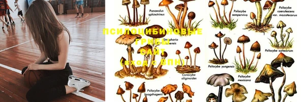 альфа пвп Осинники