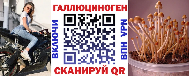 Псилоцибиновые грибы Psilocybe  Иноземцево 